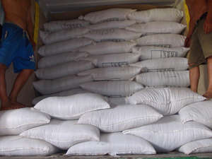 Pimienta Negra Seca Cruda, Especia Individual, 500GL, Calidad FAQ, Limpia a Máquina, Procedente de Vietnam, Baja Contaminación, VILACONIC - Sr. Justin - Product Image 3