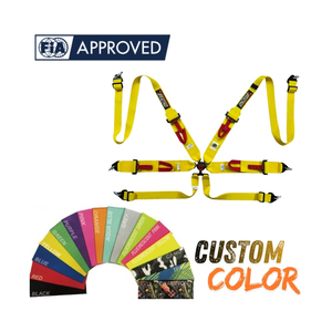OEM Factory Direct FIA Racing Harness 6 Point Aluminum Cam Lock TBRACING SPORT S Custom Branding Custom Color Wholesale - Product Image 3