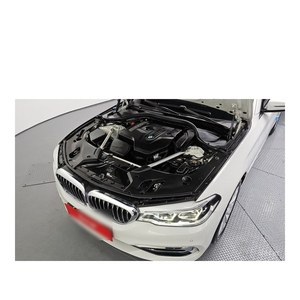 BMW Serie 5 530i XDrive Luxury Plus, Julio 2019, 70,650 km, Volante a la Izquierda, Caja de Cambios Automática, Asientos de Cuero, Emisión Euro V, Trasero - Product Image 6