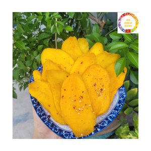 Dried Mango with Chili and Salt Soft Chewy Mango Slices | Vacuum Pack Bulk Wholesale Vietnam - Product Image 2
