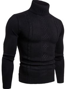 Pull à col roulé pour homme, tricot torsadé côtelé, col rond, tricot d'hiver - Product Image 1