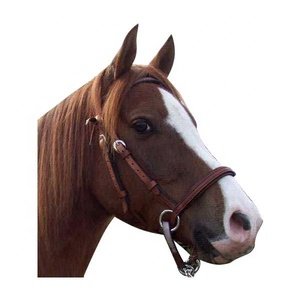 อุปกรณ์ขี่ม้า ALR EQUESTRIANS รุ่น ALR-BR020 บิตม้าหนังสีดำตกแต่งคริสตัล ทนทาน ปรับแต่งได้ ทำจากหนังแท้ - Product Image 2