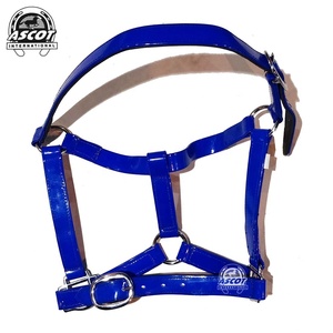 Nouveau design de vente en gros de licou d'équitation en selle anglaise en cuir pvc PP de qualité supérieure avec raccords de qualité - Product Image 2