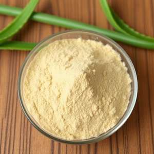 Jeeva ผงสกัดเมล็ดว่านหางจระเข้เกรดอาหารออร์แกนิกมีอัตราส่วน1:1ในบรรจุภัณฑ์ถุงฟอยล์อลูมิเนียม - Product Image 1