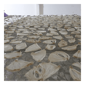 Soft Dried Soursop created from selected soursop <b>pulp</b> for snack consumption dessert making and food processing Vietnam - Product Image 3