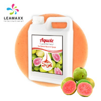 Sirop concentré de jus de fruit du dragon Leamaxx 2026, liquide rose en bouteille pour boisson Boba, certifié HACCP, prêt à boire