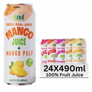 490ml de saveurs de jus de fruits et de légumes sans sucre avec pulpe OEM/ODM prix d'usine de marque privée - Product Image 1