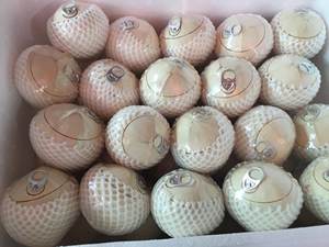 Coco pulido de fácil apertura, grado de exportación de Vietnam Ben Tre para importadores - Product Image 5