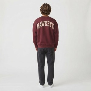 HAWK EYE SPORTS Sweat à capuche décontracté pour homme Nouvelle mode 350g Coupe droite épaules tombantes Col montant Motif imprimé Automne - Product Image 2