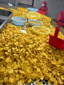 Chips de Jaca Madura 500g, Snack Dulce Rico en Fibra, Jaca Seca Frita al Vacío con un 50% Menos de Aceite, Sin Aceite de Palma - Product Image 6