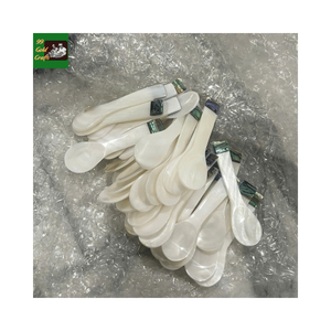 Cuillère en nacre naturelle, cuillère de haute couture exclusive, cuillère décorative artisanale de qualité supérieure - Product Image 3