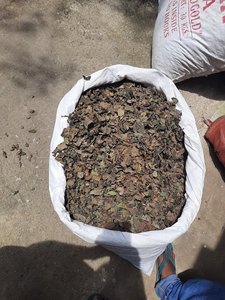 Vente chaude Bonne Qualité Naturel Séché Pur Séché Piper Betel feuilles/Feuilles De Bétel Déshydratées Pour Les Soins De Santé - Product Image 6