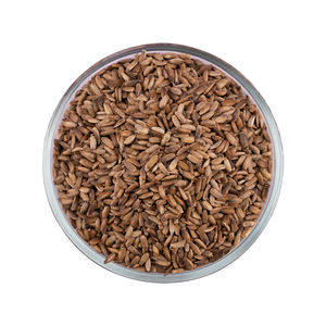 Bulk Quantity Milk Thistle Seeds Natural Grade for Sale - Product Image 2