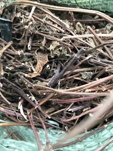 Factory Mesona Leaves Vietnam <b>Dried</b> Mesona Leaves <b>Grass</b> Jelly Leaves for Herbal Drink Jelly <b>Dried</b> Mesona Leaves <b>Grass</b> Jelly - Product Image 6