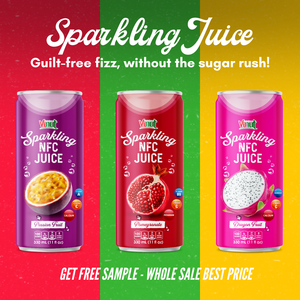 Bebida de zumo de fruta de dragón espumoso NFC muestra gratis Etiqueta Privada OEM ODM mayorista fabricante ISO HALAL KOSHER - Product Image 6