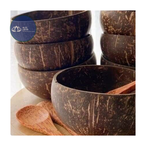 Tazón de Cáscara de Coco Ecológico de Alta Calidad, Acabado Liso, Venta al por Mayor, Hecho a Mano, Apto para Lavavajillas, No Tóxico, para Fiestas y Hogar - Product Image 1