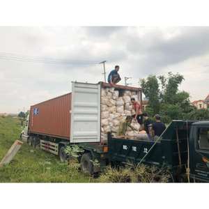 Piel de ratán blanca plana de 6mm con piel fuerte, bastones de ratán pulidos limpios, Material de correa de alta calidad - Product Image 2