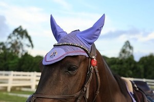 Horse <b>Fly</b> Bonnet, Breathable Crochet Ear Bonnet with Stretch Comfort Ears, Contoured Fit for English Riding - Product Image 2