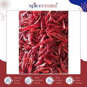 พริกแห้งอินเดียแท้ 100% ออร์แกนิค คุณภาพสูง ขายดี ยี่ห้อ Spicecentra สำหรับส่งออก ขนาด 12  ไม่มีก้าน  ผลิตในอินเดีย - Product Image 3