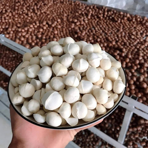 แมคคาเดเมียนัทขายส่งยอดนิยม คุณภาพพรีเมียม จำหน่ายจำนวนมาก เกรดอาหาร พร้อมส่งออก - Product Image 5