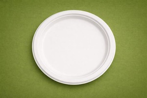 6 Inch Biodegradable Sugarcane Bagasse <b>Plate</b> – Compostable <b>Disposable</b> Food <b>Plate</b> - Product Image 4