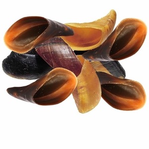 Hornillos de Cuerno Natural: Material Económico para Hacer Mangos de Cuchillos, Joyería Artesanal y Uso Decorativo a Precio de Mayoreo - Product Image 3