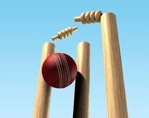 Cricket Wickets Set Heavy Duty Wooden Stumps And Bails For Club Level Practice And International Matches - Product Image 6
