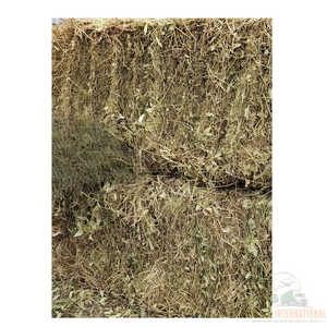 100% Natural Peanut <b>Straw</b> Hay <b>Bales</b> for Animal Feed Supply and Livestock Farm Use - Product Image 1