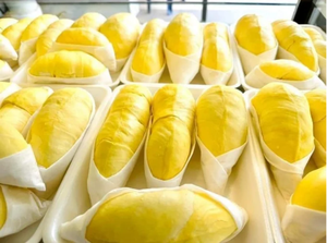 เนื้อทุเรียนแช่แข็ง IQF บรรจุสุญญากาศ คุณภาพส่งออก - Product Image 4