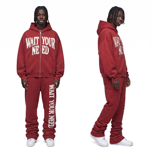 Chándal Personalizado para Hombre, Sudadera con Capucha de Felpa Bordada de Gran Tamaño, Pantalones Deportivos de Algodón de 450 GSM, Chándal con Cremallera para Invierno - Product Image 4