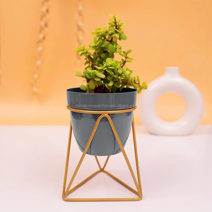 Support de plante d'intérieur moderne en métal, porte-pot de fleurs décoratif, support de plante pour salon, balcon, jardin, décoration de la maison - Product Image 6