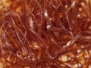 Élastiques à cheveux en vrac, taille M, 40x2mm, haute élasticité, non toxiques, emballage en sachet OPP, usage quotidien décontracté - Product Image 3