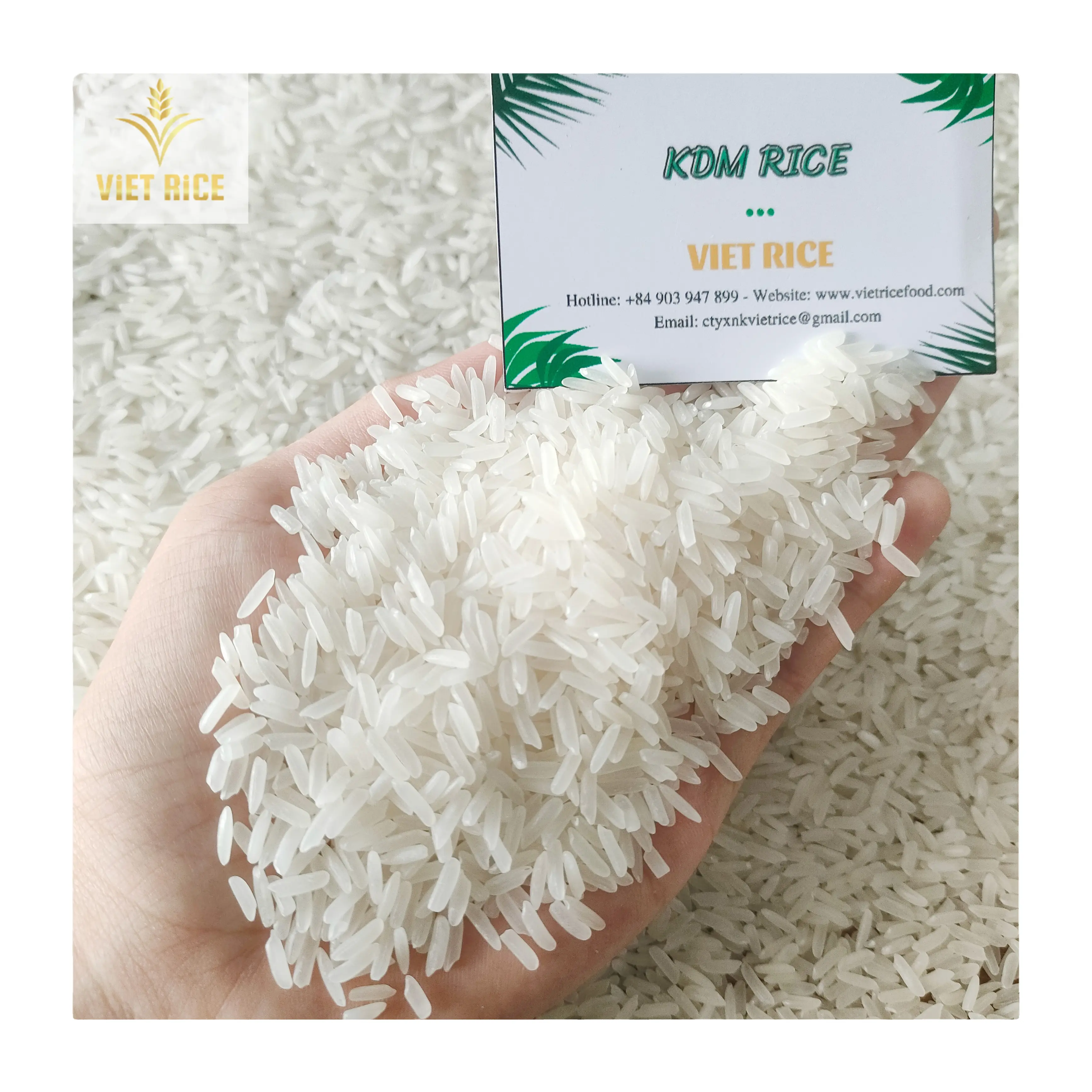 Vietnam KDM Rice 5% Variedades de arroz fragante roto para platos gourmet Cumple con los estándares de exportación de arroz de fábrica (WA + 84 769340108)