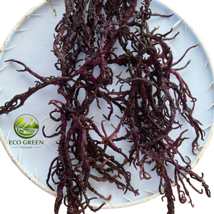 Artisan Harvest Sea Moss, algues marines séchées naturelles, sélection premium pour gel, smoothie, nourriture végétalienne, approvisionnement en vrac, Vietnam - Product Image 1