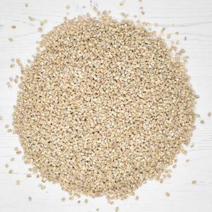 Alimento para Animales a Base de Cebada con Rico Perfil Nutricional, Cebada para una Alimentación Sostenible del Ganado y Productividad Agrícola - Product Image 1