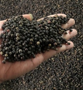 Pimienta Negra Cruda Seca AD Picante y Especiada para Uso Diario en Alimentos a Bajo Precio - Product Image 4