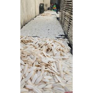 Hueso de Sepia Seco Puro y Natural GIA NGUYEN, Suministros para Aves de Vietnam - Product Image 6