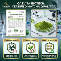 Poudre de Matcha de Qualité Cérémonielle Premium en Gros, Thé Vert Japonais Biologique, Fournisseur OEM à Marque Privée