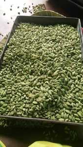 Vainas de Cardamomo Verde Frescas, Semillas de Cardamomo Secas Enteras, Especia Natural para Té e Industria Alimentaria - Product Image 4