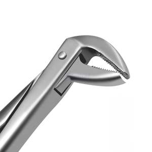 Pinzas de Extracción Dental Profesionales para Molares Inferiores, con Pico Dentado, de Acero Inoxidable, Pinzas Quirúrgicas para Dientes, Personalizadas - Product Image 2