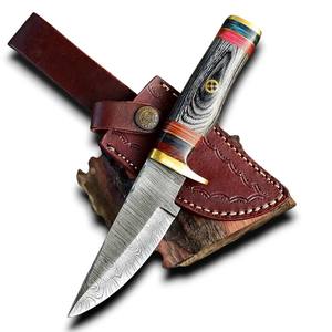 Couteau de chasse et de bushcraft professionnel à lame fixe en acier Damas ultra-affûté, manche en bois Pakka coloré, OEM - Product Image 1