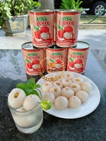 OEM vietnamien ODM emballé en conserve litchi fruits de haute qualité Lichi conservé fraîcheur pour iceream ou boire