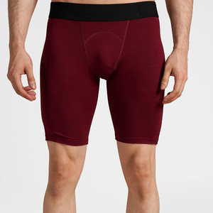 Pantalones Cortos Deportivos de Forro Polar para Hombre, Cálidos, Suaves, Casuales, con Cintura Elástica, para Entrenamiento, Fitness, Correr, Calidad Premium, OEM, ODM - Product Image 1