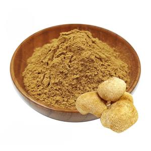 Polvo Puro de Melena de León (Hericium Erinaceus) para Apoyo Cerebral y Cognitivo - Proveedor Mayorista de Hongos - Product Image 1