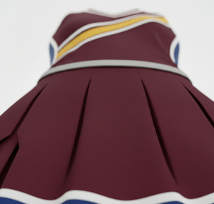 เสื้อแขนกุดคอกลมแบบมืออาชีพและกระโปรงทรงหลายชั้น |   ชุดเต้นรำทีมทรงบ็อกซี่ ผ้าโพลีเอสเตอร์ 100% ป้องกันริ้วรอย - Product Image 5