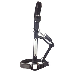 Best Quality Indian Leather <b>Equipment</b> Anatomic Horse Halter Silver Fittings With Engraved Horse Nameplate for Horse Riding - Product Image 3