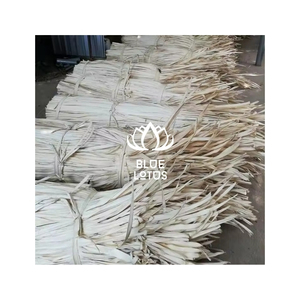 OFFRE LIMITÉE : Feuilles de palmier Corypha Lecomtei du Vietnam, matière première pour le tissage artisanal et la production d'objets décoratifs, vente en gros - Product Image 1
