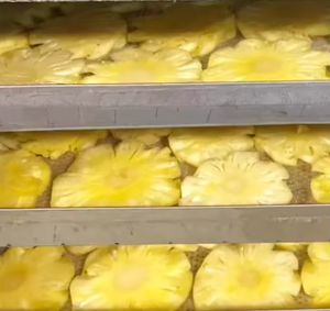 Tranches d'ananas séchées douces et moelleuses, 100% fruits du Vietnam, saveur naturelle, OEM - Product Image 3
