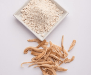 Polvo de Raíz de Musali Sky High Safed, Grado Fino, Natural - Product Image 4
