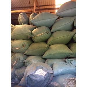 Huesos de Sepia Secos Triturados a Precio Económico, Limpios y Recortados, de Vietnam GIA GIA NGUYEN para Aves, Listos para Enviar - Product Image 4